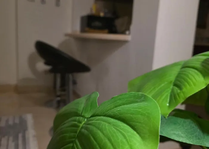 Westgolf Y62 Appartement